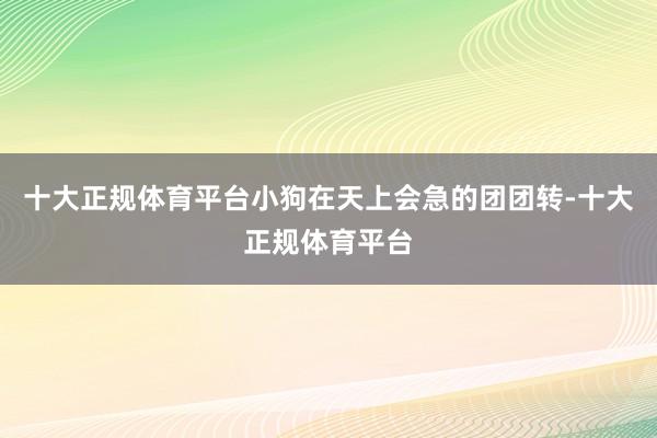 十大正规体育平台小狗在天上会急的团团转-十大正规体育平台