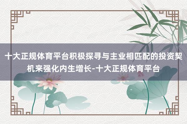 十大正规体育平台积极探寻与主业相匹配的投资契机来强化内生增长-十大正规体育平台