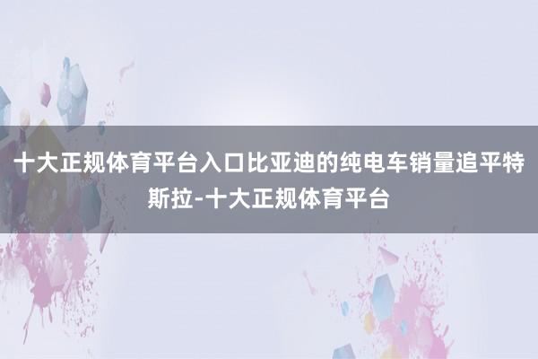 十大正规体育平台入口比亚迪的纯电车销量追平特斯拉-十大正规体育平台
