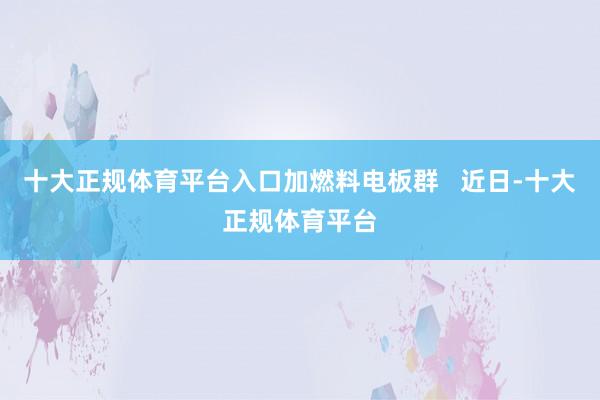 十大正规体育平台入口加燃料电板群   近日-十大正规体育平台
