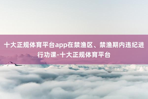 十大正规体育平台app在禁渔区、禁渔期内违纪进行功课-十大正规体育平台