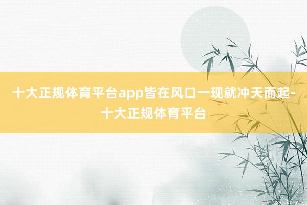 十大正规体育平台app皆在风口一现就冲天而起-十大正规体育平台