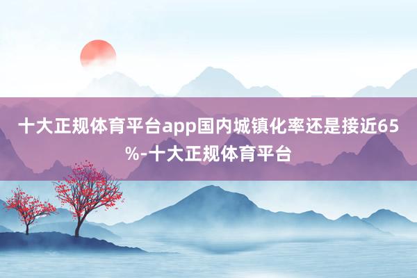 十大正规体育平台app国内城镇化率还是接近65%-十大正规体育平台