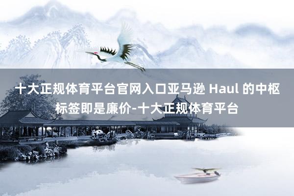 十大正规体育平台官网入口亚马逊 Haul 的中枢标签即是廉价-十大正规体育平台