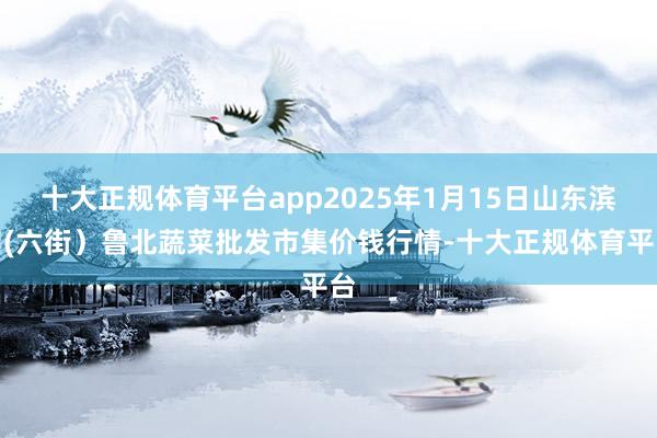 十大正规体育平台app2025年1月15日山东滨州(六街）鲁北蔬菜批发市集价钱行情-十大正规体育平台