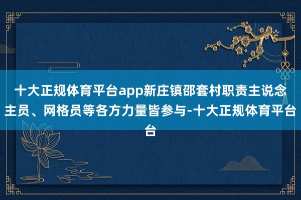 十大正规体育平台app新庄镇邵套村职责主说念主员、网格员等各方力量皆参与-十大正规体育平台