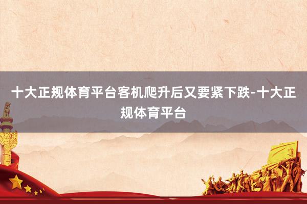 十大正规体育平台客机爬升后又要紧下跌-十大正规体育平台