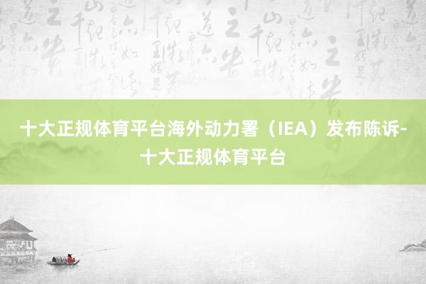 十大正规体育平台海外动力署（IEA）发布陈诉-十大正规体育平台