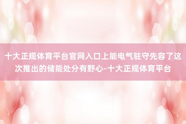 十大正规体育平台官网入口上能电气驻守先容了这次推出的储能处分有野心-十大正规体育平台