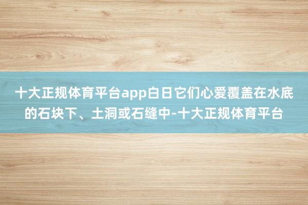 十大正规体育平台app白日它们心爱覆盖在水底的石块下、土洞或石缝中-十大正规体育平台