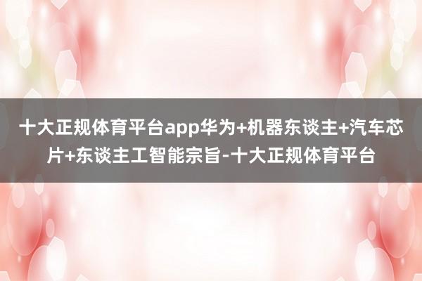 十大正规体育平台app华为+机器东谈主+汽车芯片+东谈主工智能宗旨-十大正规体育平台